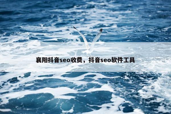 襄阳抖音seo收费，抖音seo软件工具