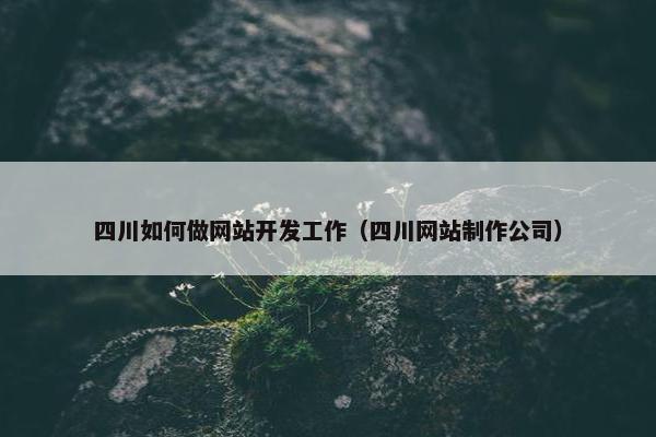 四川如何做网站开发工作（四川网站制作公司）