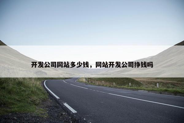 开发公司网站多少钱，网站开发公司挣钱吗