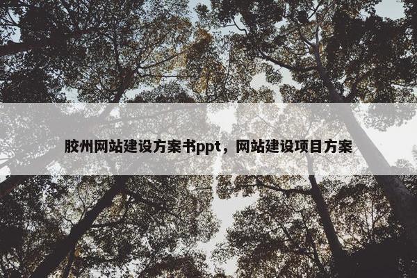 胶州网站建设方案书ppt，网站建设项目方案