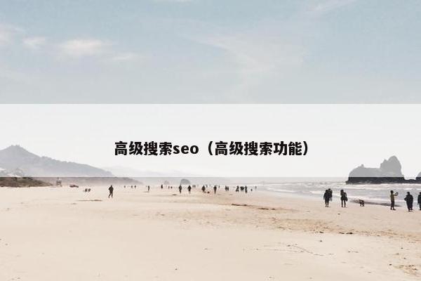 高级搜索seo（高级搜索功能）