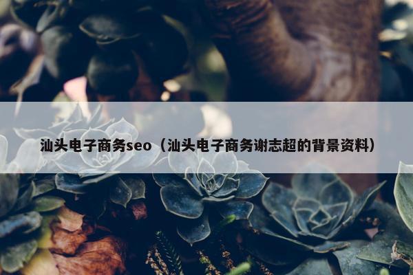 汕头电子商务seo（汕头电子商务谢志超的背景资料）
