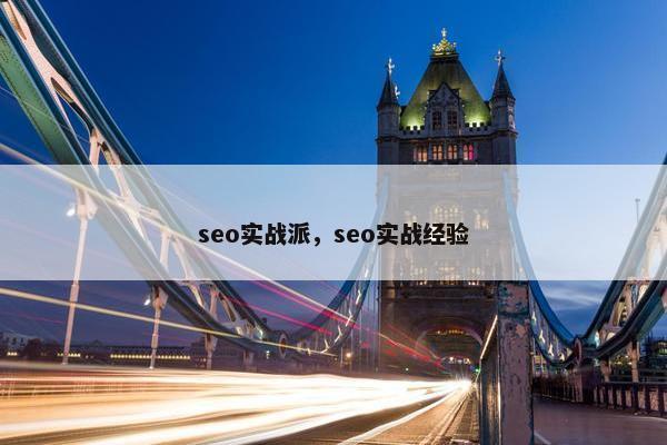 seo实战派，seo实战经验