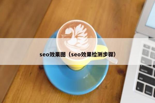 seo效果图（seo效果检测步骤）