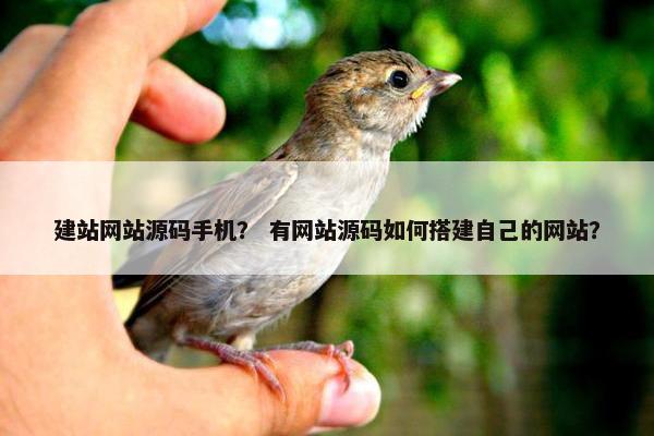 建站网站源码手机？ 有网站源码如何搭建自己的网站？
