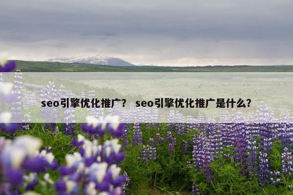 seo引擎优化推广？ seo引擎优化推广是什么？