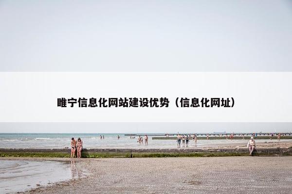 睢宁信息化网站建设优势（信息化网址）
