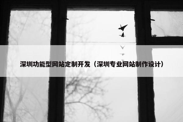 深圳功能型网站定制开发（深圳专业网站制作设计）