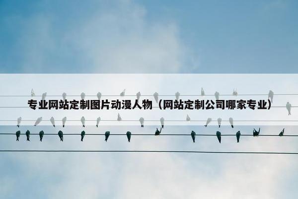 专业网站定制图片动漫人物（网站定制公司哪家专业）