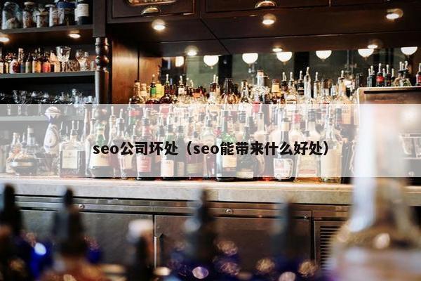 seo公司坏处（seo能带来什么好处）