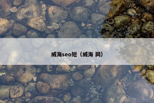 威海seo短（威海 网）