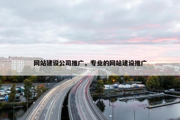 网站建设公司推广，专业的网站建设推广