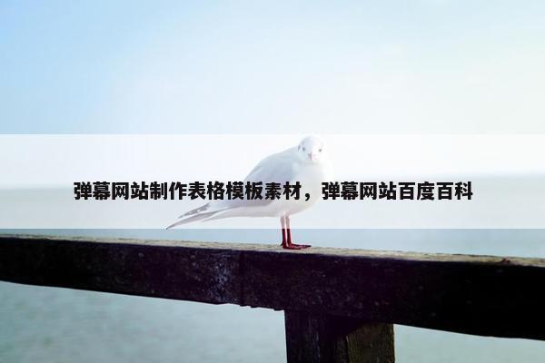 弹幕网站制作表格模板素材，弹幕网站百度百科