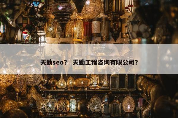 天勤seo？ 天勤工程咨询有限公司？