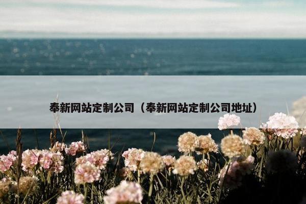 奉新网站定制公司（奉新网站定制公司地址）