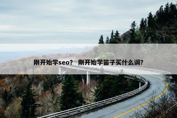 刚开始学seo？ 刚开始学笛子买什么调？