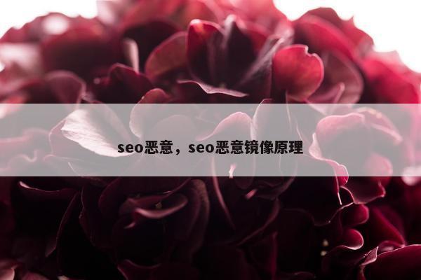 seo恶意，seo恶意镜像原理