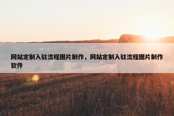 网站定制入驻流程图片制作，网站定制入驻流程图片制作软件