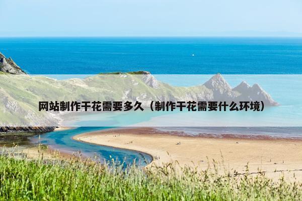 网站制作干花需要多久（制作干花需要什么环境）
