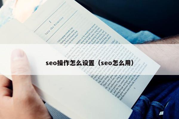 seo操作怎么设置（seo怎么用）
