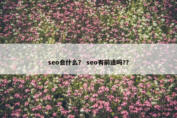 seo会什么？ seo有前途吗?？