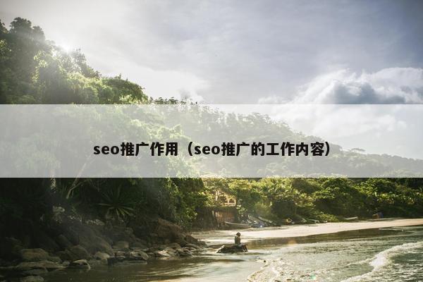 seo推广作用（seo推广的工作内容）
