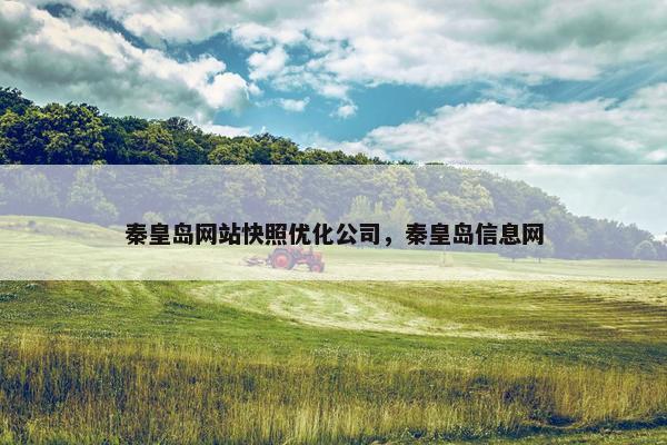 秦皇岛网站快照优化公司，秦皇岛信息网