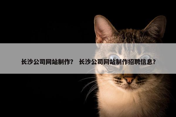 长沙公司网站制作？ 长沙公司网站制作招聘信息？