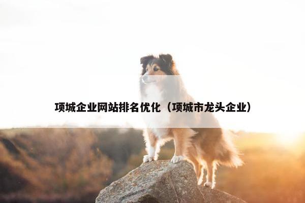 项城企业网站排名优化（项城市龙头企业）