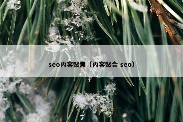 seo内容聚焦（内容聚合 seo）