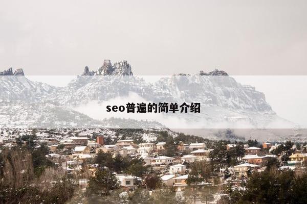 seo普遍的简单介绍