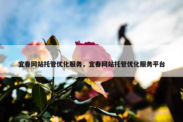 宜春网站托管优化服务，宜春网站托管优化服务平台