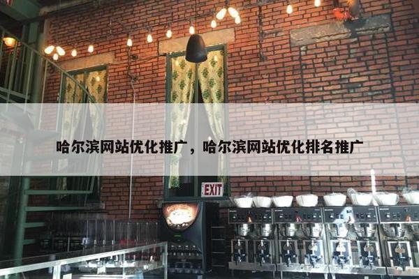 哈尔滨网站优化推广，哈尔滨网站优化排名推广