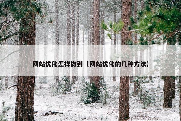 网站优化怎样做到（网站优化的几种方法）