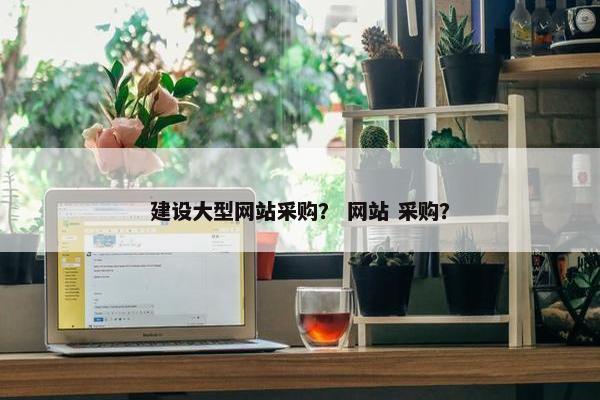 建设大型网站采购？ 网站 采购？
