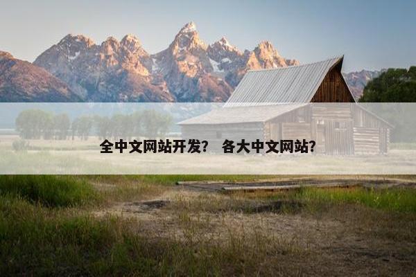全中文网站开发？ 各大中文网站？