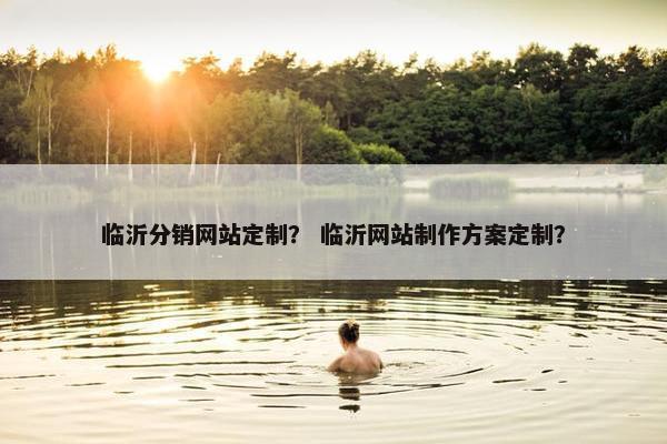 临沂分销网站定制？ 临沂网站制作方案定制？