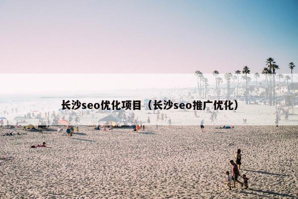 长沙seo优化项目（长沙seo推广优化）