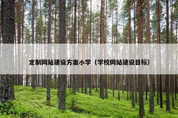 定制网站建设方案小学（学校网站建设目标）