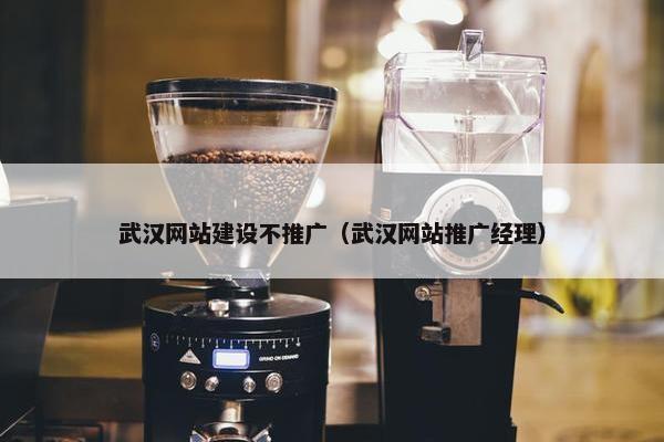 武汉网站建设不推广（武汉网站推广经理）