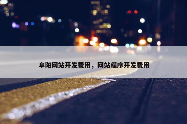 阜阳网站开发费用，网站程序开发费用