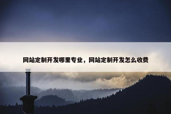 网站定制开发哪里专业，网站定制开发怎么收费