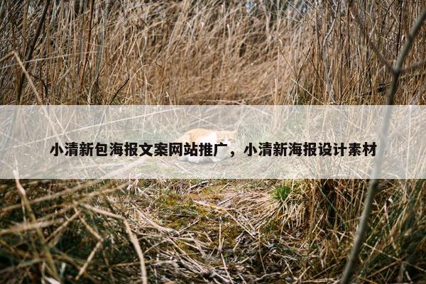 小清新包海报文案网站推广，小清新海报设计素材