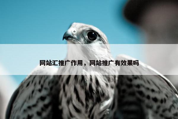 网站汇推广作用，网站推广有效果吗