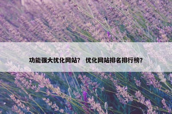功能强大优化网站？ 优化网站排名排行榜？