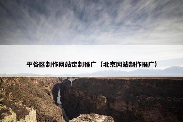 平谷区制作网站定制推广（北京网站制作推广）