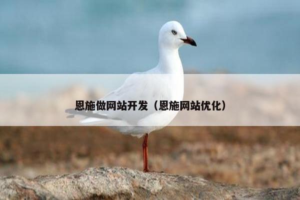 恩施做网站开发（恩施网站优化）