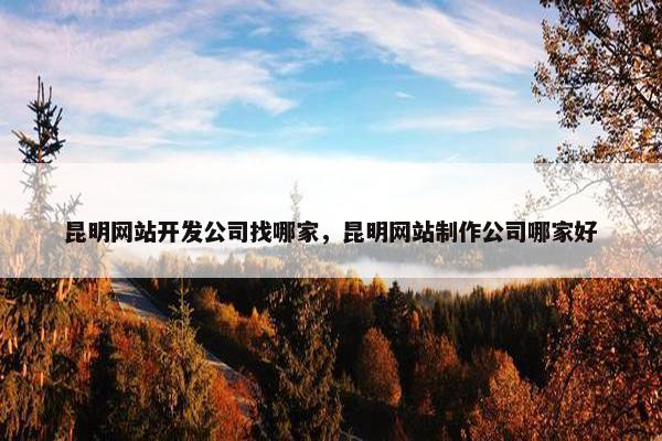 昆明网站开发公司找哪家，昆明网站制作公司哪家好