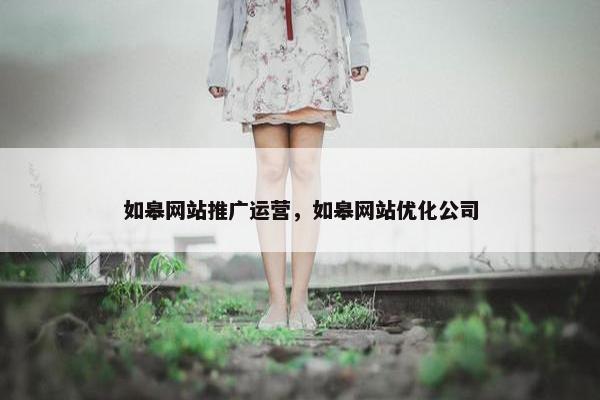 如皋网站推广运营，如皋网站优化公司