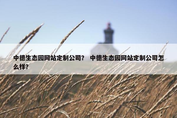 中德生态园网站定制公司？ 中德生态园网站定制公司怎么样？